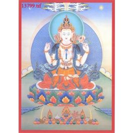 EM13799