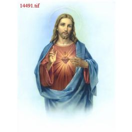 EM14491