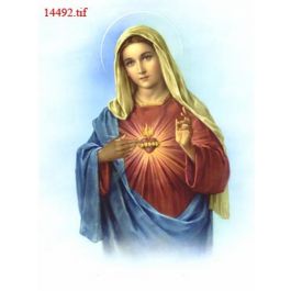 EM14492