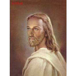 EM15219