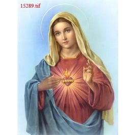 EM15289