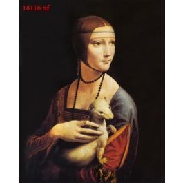 EM16116