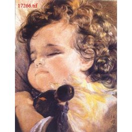 EM17266
