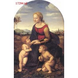 EM17294