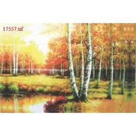EM17557