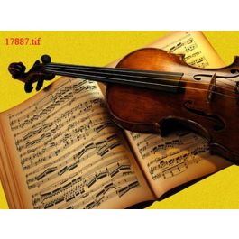 EM17887