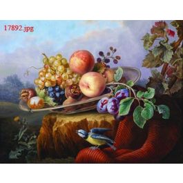 EM17892