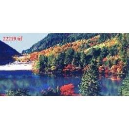 EM22219