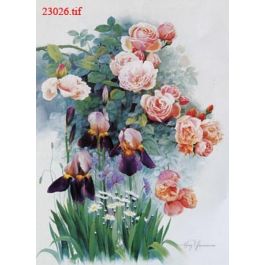 EM23026