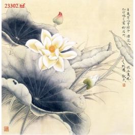 EM23302