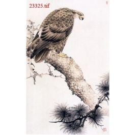 EM23325