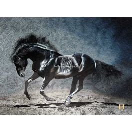 a black horse in mid-gallop, a hand embroidered silk embroidery masterpiece by Su Embroidery Studio