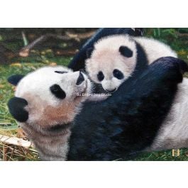 Mother and baby panda, a hand embroidered silk embroidery painting by Su Embroidery Studio, Suzhou China