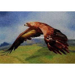 Chinese silk embroidery Golden Eagle, hand embroidered with silk threads by embroidery artists from Su Embroidery Studio, Suzhou China