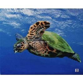 a swimming Green Sea Turtle, hand embroidered with silk threads, by embroidery artists from Su Embroidery Studio, Suzhou China
