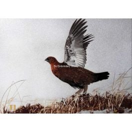 a Scottish grouse bird with its wings open on dry grass, hand embroidered with silk threads by embroidery artists from Su Embroidery Studio, Suzhou China