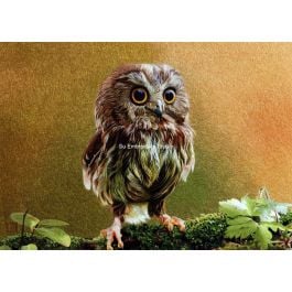 a realistic silk embroidery painting depicts a small owl standing on moss, fully hand embroidered with silk threads by Chinese embroidery artist from Su Embroidery Studio, Suzhou China