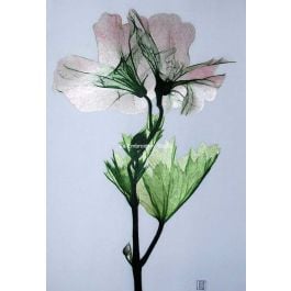 pink flowers with green leaves, a silk embroidery painting all hand embroidered by Su Embroidery Studio